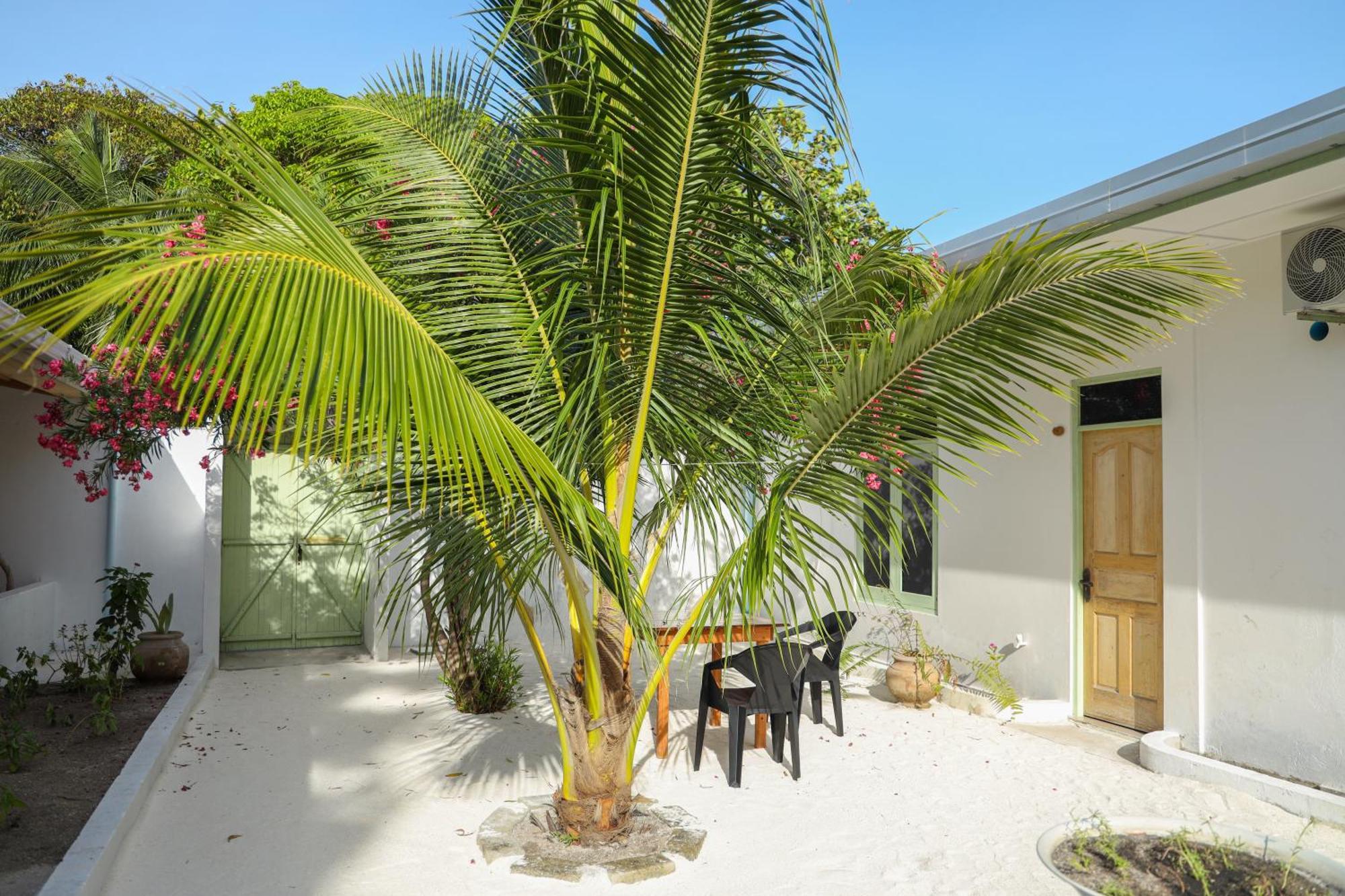 Shifa Lodge Maldives Feridhoo Exteriör bild