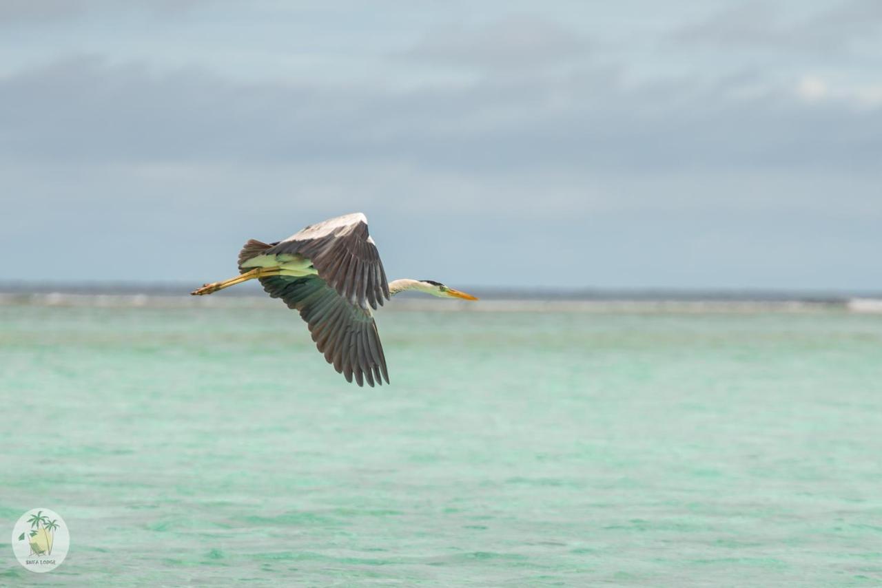 Shifa Lodge Maldives Feridhoo Exteriör bild